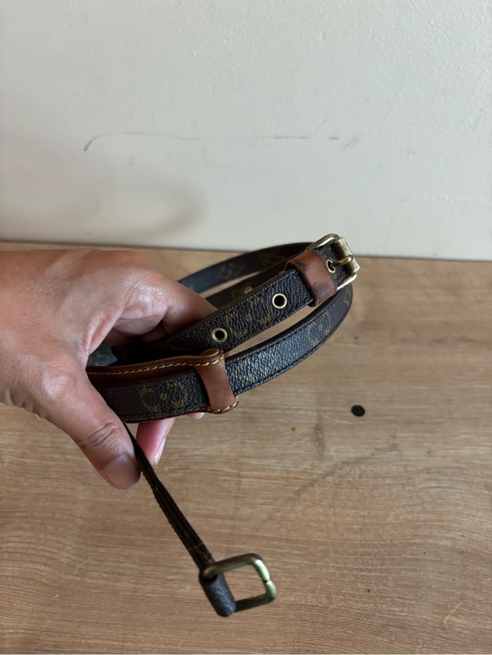 Authentic Louis Vuitton monogram strap